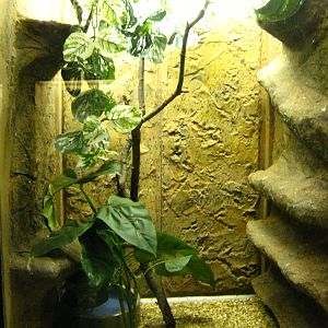 LRZ - Reptiles/Amphibians/Invertebrates