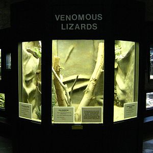LRZ - Reptiles/Amphibians/Invertebrates