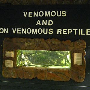 LRZ - Reptiles/Amphibians/Invertebrates