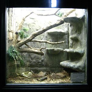 LRZ - Reptiles/Amphibians/Invertebrates