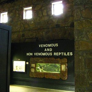 LRZ - Reptiles/Amphibians/Invertebrates