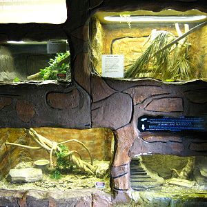 LRZ - Reptiles/Amphibians/Invertebrates