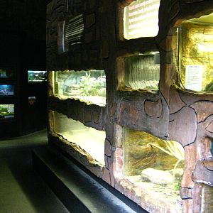 LRZ - Reptiles/Amphibians/Invertebrates