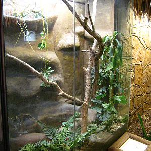 LRZ - Reptiles/Amphibians/Invertebrates