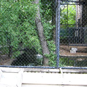 LRZ - Reptiles/Amphibians/Invertebrates