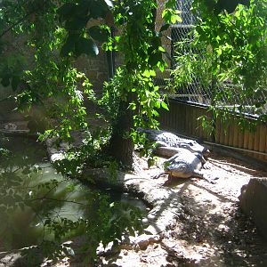 LRZ - Reptiles/Amphibians/Invertebrates