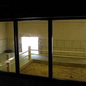 LRZ - Reptiles/Amphibians/Invertebrates