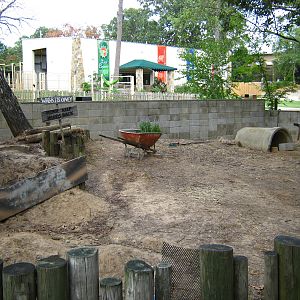 LRZ - Reptiles/Amphibians/Invertebrates