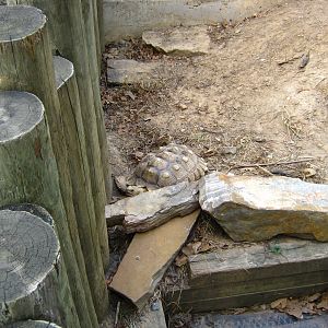 LRZ - Reptiles/Amphibians/Invertebrates