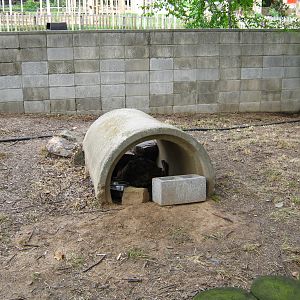 LRZ - Reptiles/Amphibians/Invertebrates