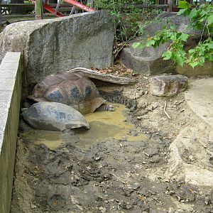 LRZ - Reptiles/Amphibians/Invertebrates