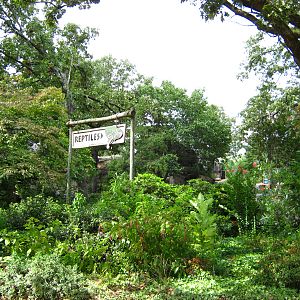 LRZ - Reptiles/Amphibians/Invertebrates