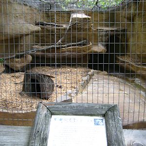 LRZ - Small Carnivores complex