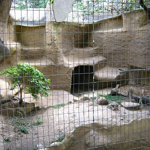 LRZ - Small Carnivores complex