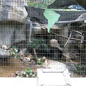 LRZ - Small Carnivores complex