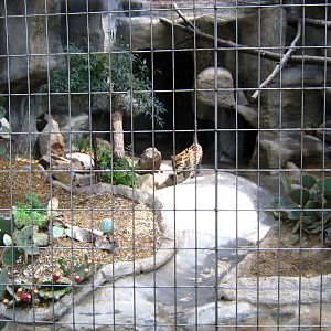 LRZ - Small Carnivores complex