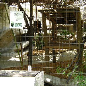 LRZ - Small Carnivores complex