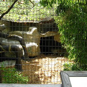 LRZ - Small Carnivores complex