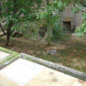 LRZ - Small Carnivores complex