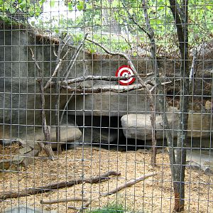 LRZ - Small Carnivores complex