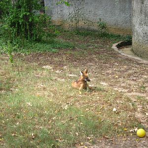 LRZ - Miscellaneous exhibits