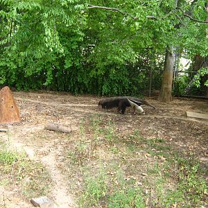 LRZ - Miscellaneous exhibits