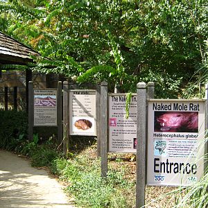 LRZ - Miscellaneous exhibits