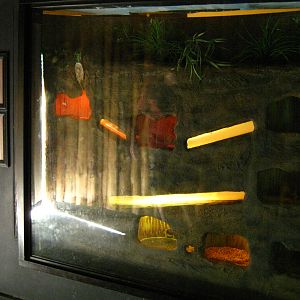 LRZ - Miscellaneous exhibits