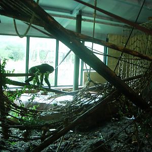 Inside the Gorilla House - 27.07.2010