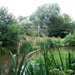 Gorilla Island - 27.07.2010