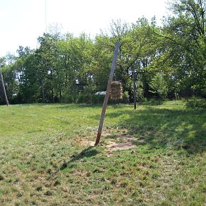 African Journey - Reticulated Giraffe Exhibit