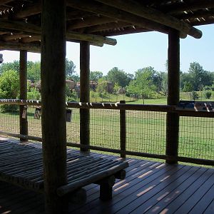 African Journey - Wildebeest/Ostrich/Zebra/White Stork Savanna