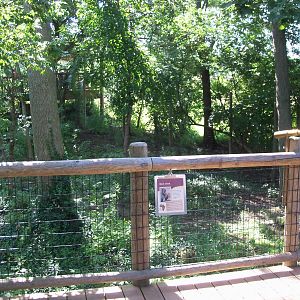 African Journey - Black Stork Exhibit
