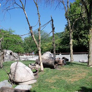 Capuchin Monkey Exhibit