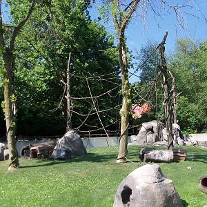 Capuchin Monkey Exhibit