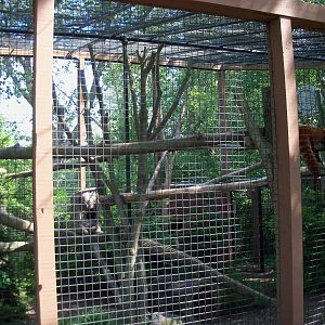 Red Panda Exhibit