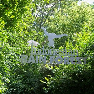 Indonesian Rain Forest - Entrance Sign