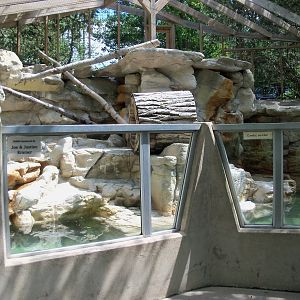River Otter Exhibit