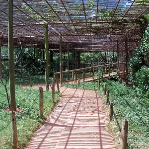 Australian Adventure - Walkabout Aviary