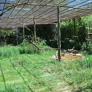 Australian Adventure - Walkabout Aviary