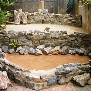 Meerkat Enclosure - 27.07.2010