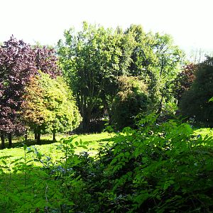 Mixed Antelope Paddock