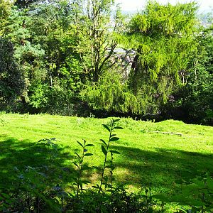 Mixed Antelope Paddock