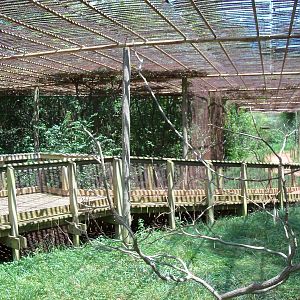 Australian Adventure - Walkabout Aviary