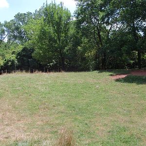 Australian Adventure - Walk-Through Eastern Grey Kangaroo Exhibit