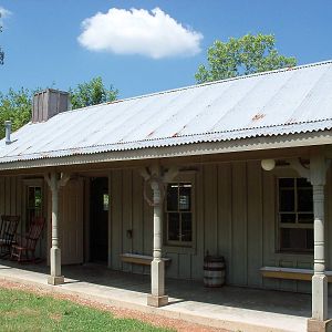 Australian Adventure - Walk-Through Eastern Grey Kangaroo Exhibit