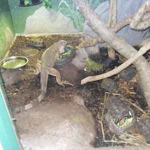 Belfast Visit 1st Sept