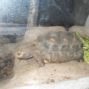 Belfast Visit 1st Sept