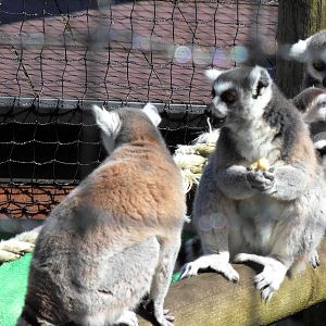 Belfast Visit 1st Sept