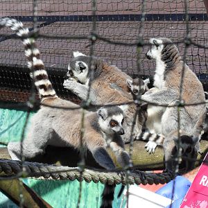 Belfast Visit 1st Sept